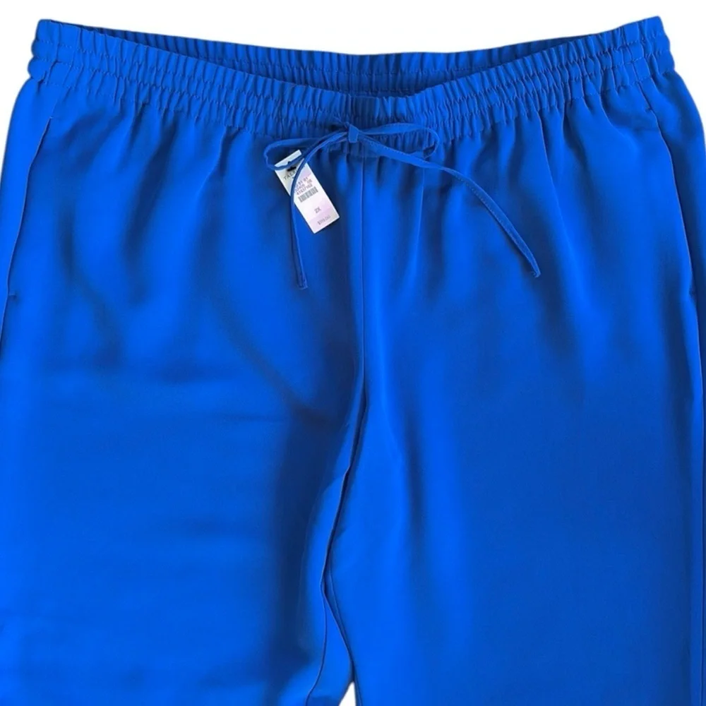 NWT Talbots Eastport Pull-On Crepe Pants Blue Size 1X